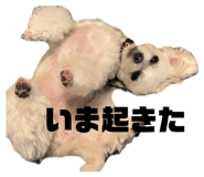 856285035