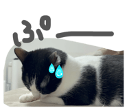 856285605