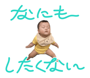 856288011