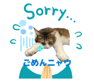 856288134