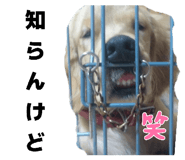 856288656