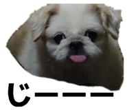856288662