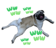856288666