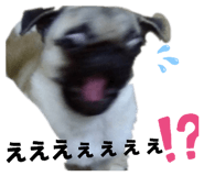 856288667