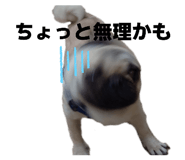 856288669