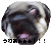 856288671