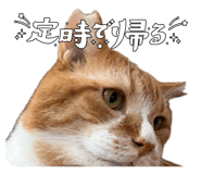 856289684