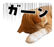 856289694