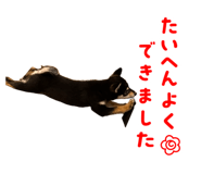 856289752