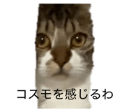 856289905
