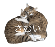 856289909