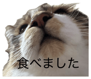 856289927