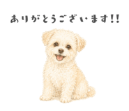 856290673