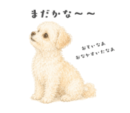 856290678