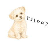 856290680