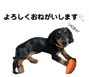 856290908