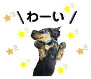 856290917