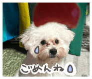 856292005
