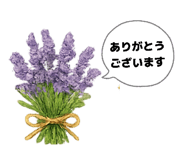 856295582