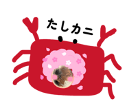 856295720