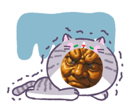 856297581