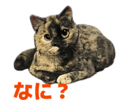 856298969