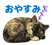 856298976