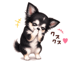 856299644