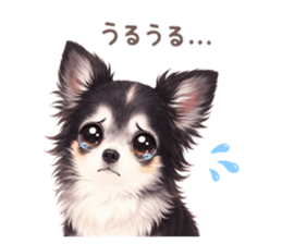 856299650