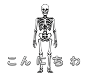 856300025