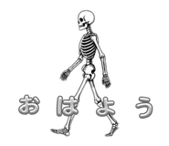 856300030