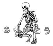 856300033