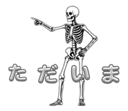 856300034