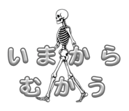 856300040