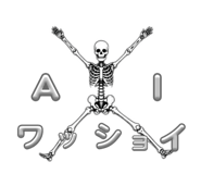 856300047