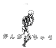 856300054