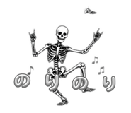 856300055