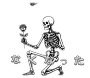 856300056