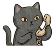 856300233