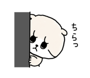 856300392