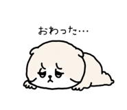 856300393