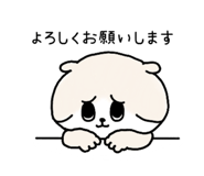 856300397