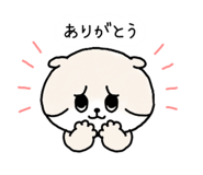856300401