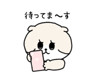856300404