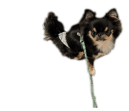 856300671