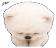 856301021
