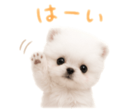 856301047