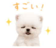 856301050