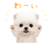 856301053