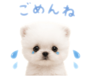 856301054